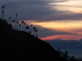 Sunset in El Valle de Cocora